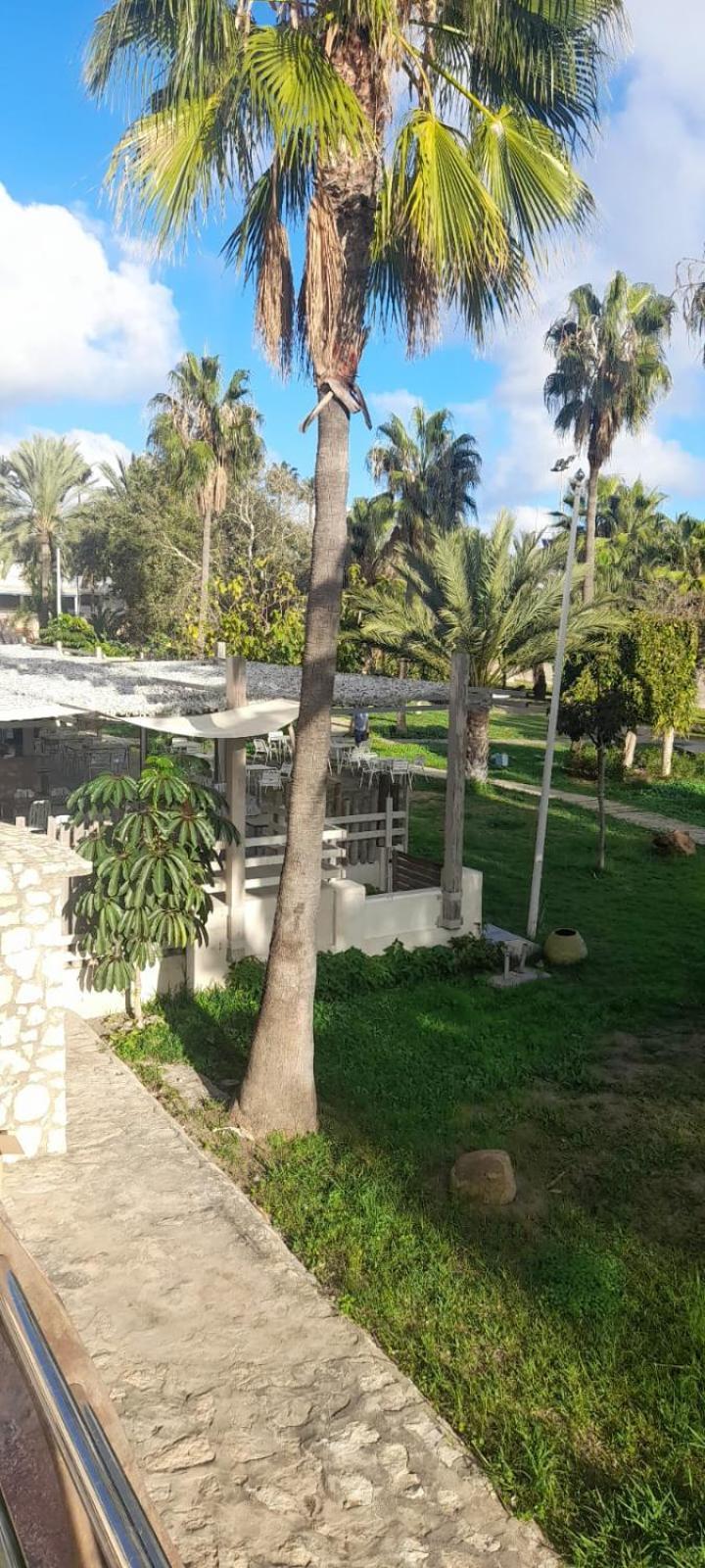 Apartamento Pepita Alay Benalmadena Bagian luar foto