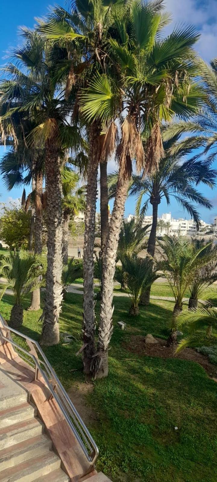Apartamento Pepita Alay Benalmadena Bagian luar foto